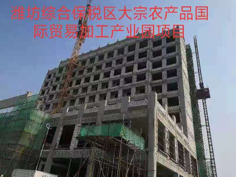 大宗农产品贸易公司